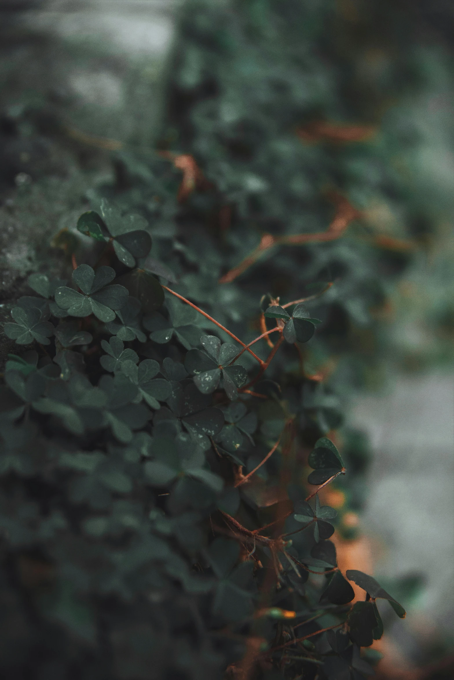 a fire hydrant sitting in the middle of a lush green field, a macro photograph, inspired by Elsa Bleda, unsplash contest winner, branches and ivy, on a gray background, portrait shot 8 k, made of leaves