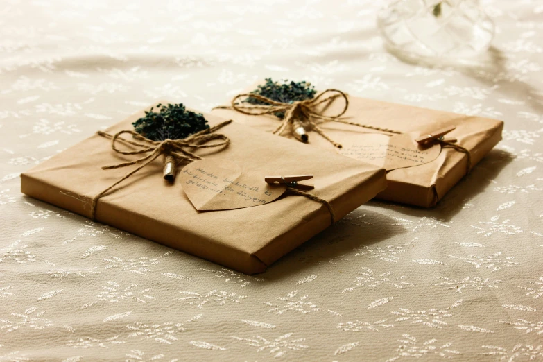 a couple of boxes sitting on top of a table, pexels contest winner, private press, delicate ex embellishments, brown, herbs, parchment