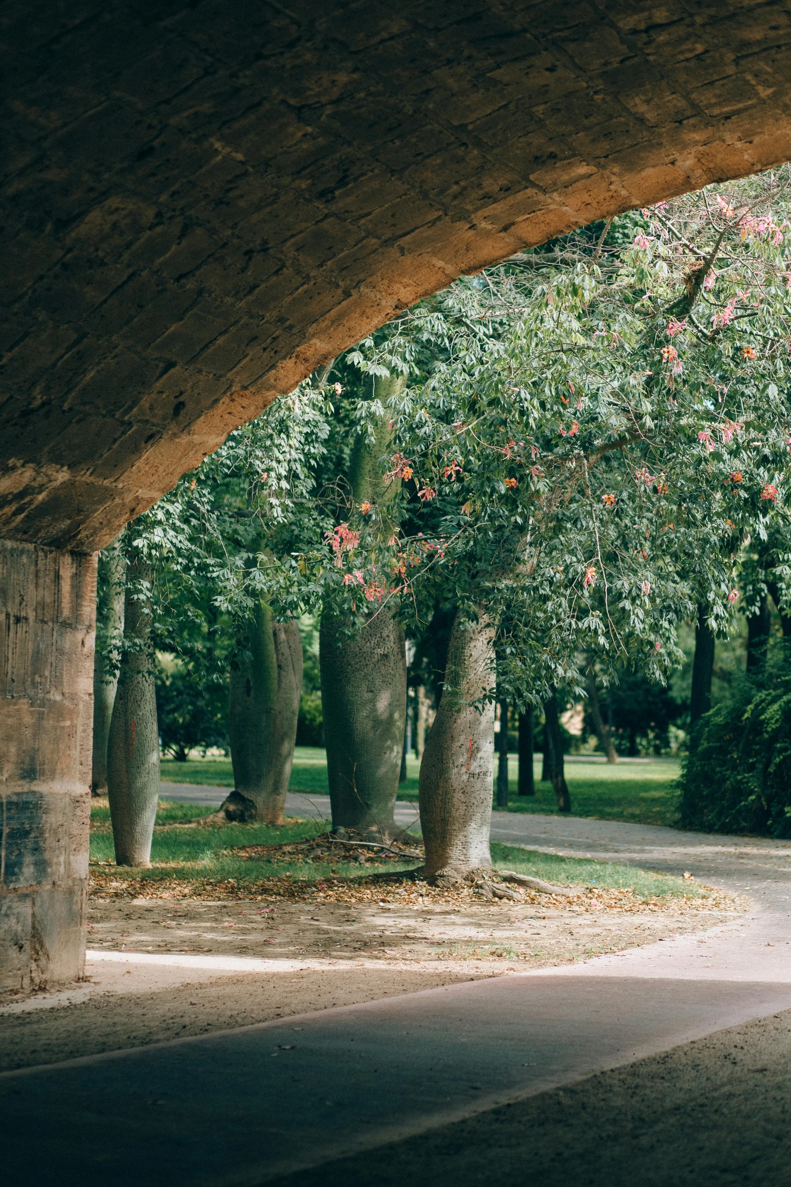 a person riding a bike under a bridge, a picture, inspired by Thomas Struth, unsplash contest winner, renaissance, curved trees, sweet acacia trees, park landscape, garden with fruits on trees