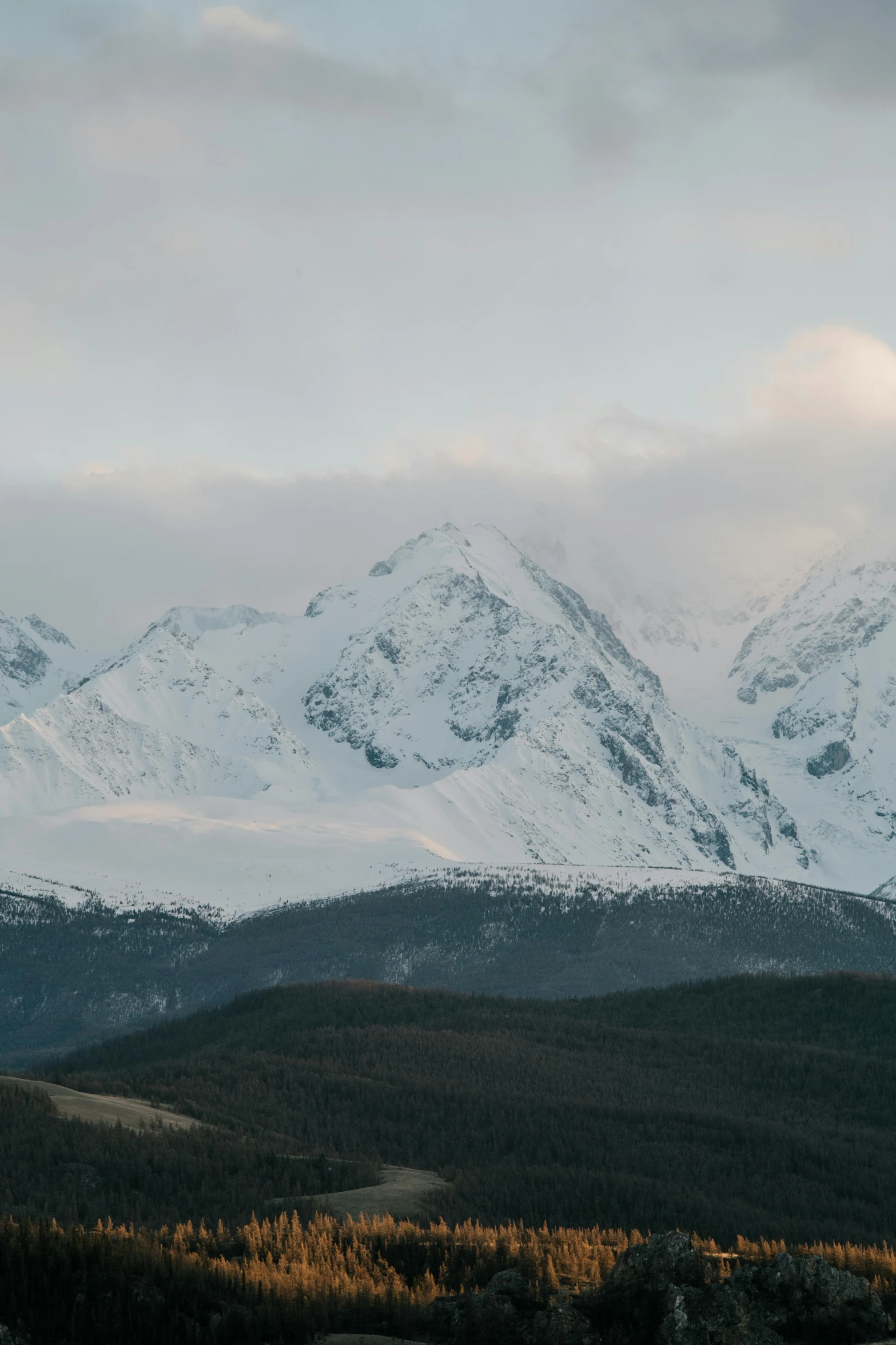 a herd of sheep standing on top of a lush green field, by Muggur, with a snowy mountain and ice, high res 8k, telephoto