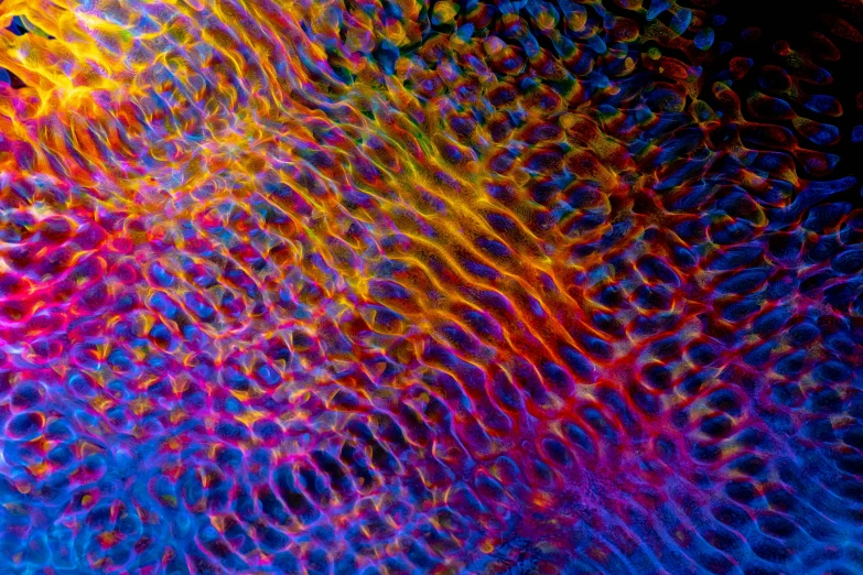 a close up of a cell phone on a table, a microscopic photo, by Jan Rustem, generative art, iridescent scales, bright saturated colors, fish skin, multi colored