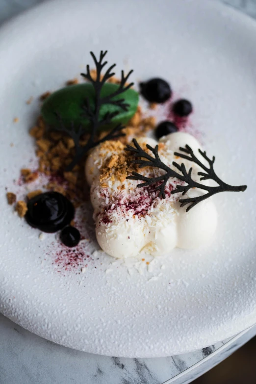 a close up of a plate of food on a table, inspired by Frederik Vermehren, unsplash, white desert, “berries, wax, melbourne