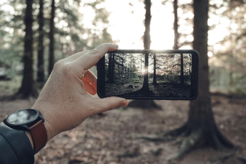 a person taking a picture of a forest, by Adam Marczyński, pexels contest winner, realism, mobile still frame. 4k uhd, with a tree in the background, picture through the screen, afternoon