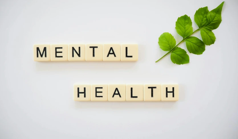 the word mental health spelled in scrabbles next to a green leaf, trending on pexels, conceptual art, on a pale background, 🎨🖌️, dark. no text, neck zoomed in