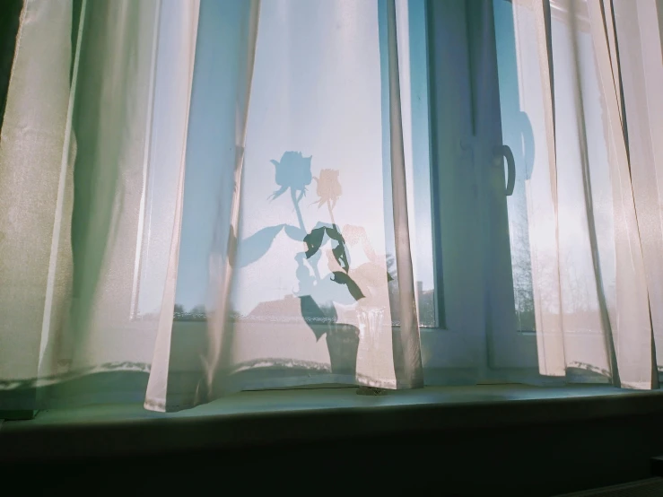 a shadow of a flower in a vase on a window sill, a polaroid photo, unsplash, romanticism, curtains, petra collins, alexey egorov, person made out of glass