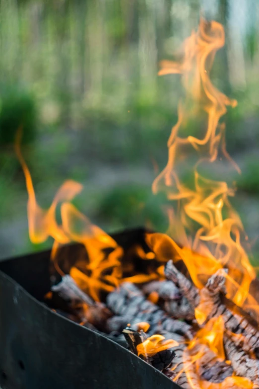 a close up of a grill with flames, pexels contest winner, ritual in a forest, birch, summer setting, grainy