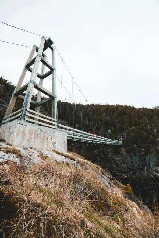 a man standing on top of a hill next to a suspension bridge, by Brian Snøddy, les nabis, ultra 4 k, quebec, new zealand, multiple stories