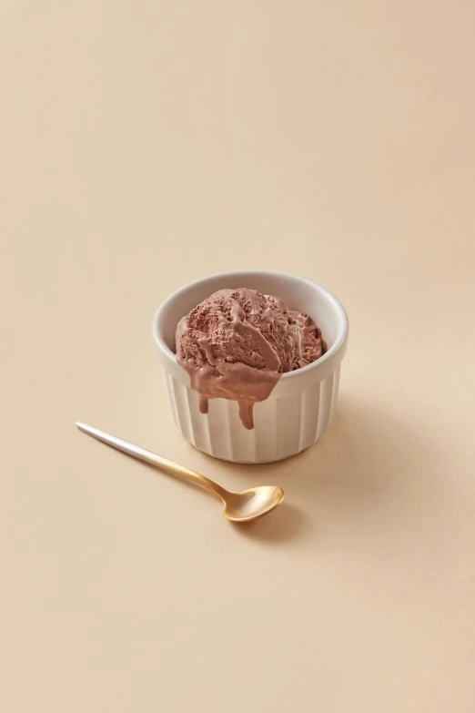 a bowl of chocolate ice cream next to a spoon, detailed product image, soft blush, f / 2 0, small