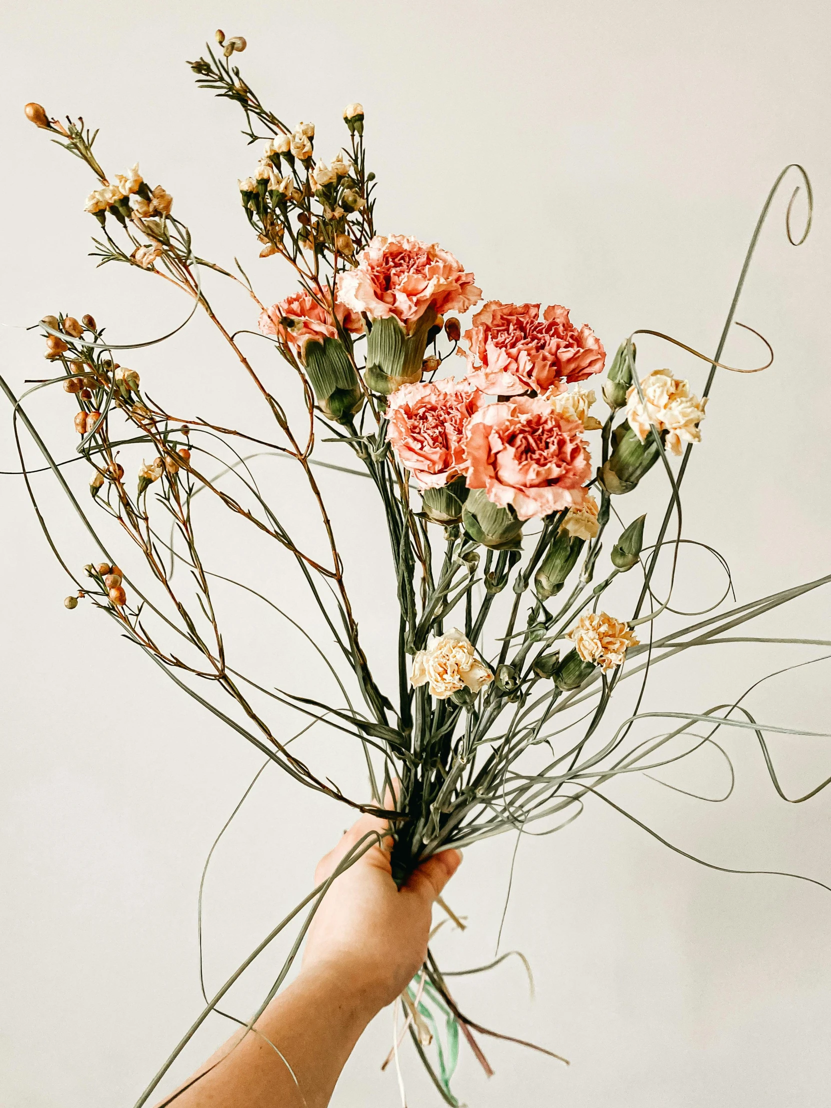 a person holding a bunch of flowers in their hand, in shades of peach, twisting organic tendrils, carnation, curated collection