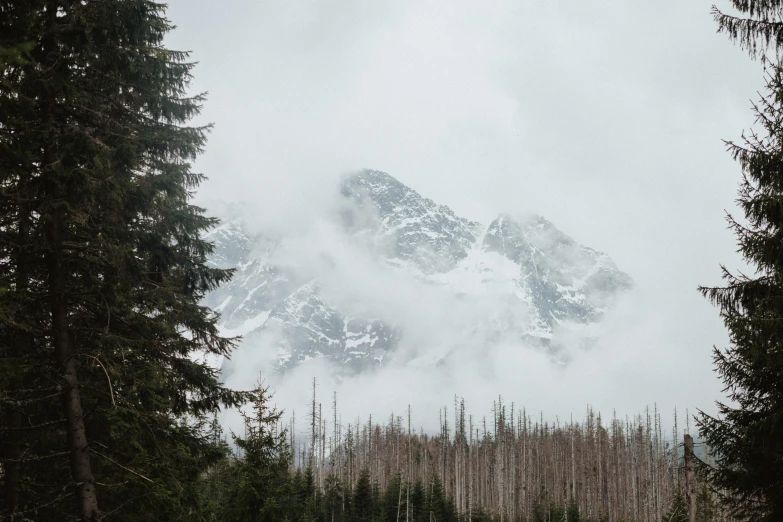 a group of people riding skis down a snow covered slope, a picture, by Emma Andijewska, pexels contest winner, romanticism, low clouds after rain, trees and cliffs, seen from a distance, distant rocky mountains