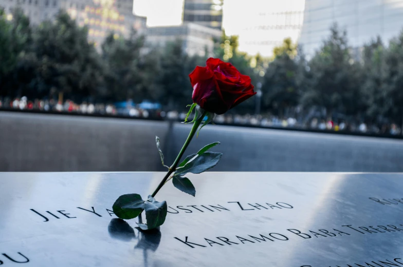 a red rose sitting on top of a memorial, by Meredith Dillman, pexels contest winner, hurufiyya, 9/11, instagram post, usa-sep 20, historical photo