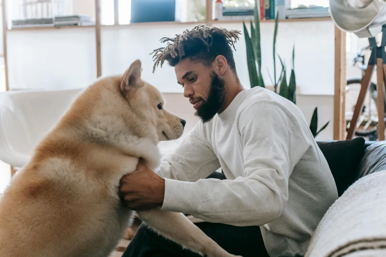 a man sitting on a couch petting a dog, trending on pexels, visual art, african american, furry wolf, wearing spiky, on a white table