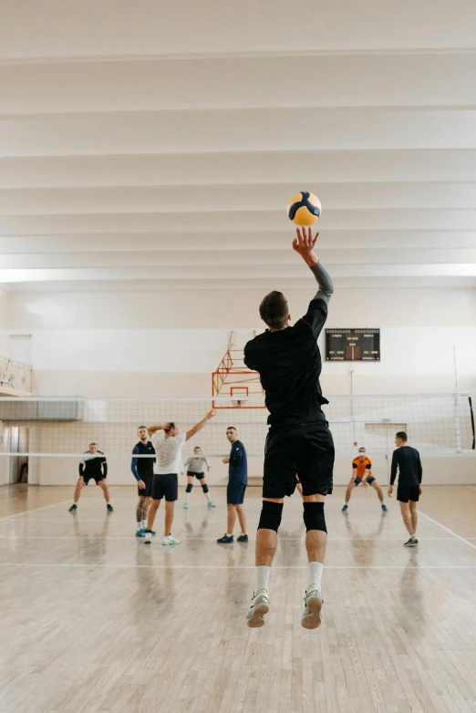 a group of young men playing a game of volleyball, by Jakob Emanuel Handmann, unsplash contest winner, modernism, in a gym, square, mid body, athletic build