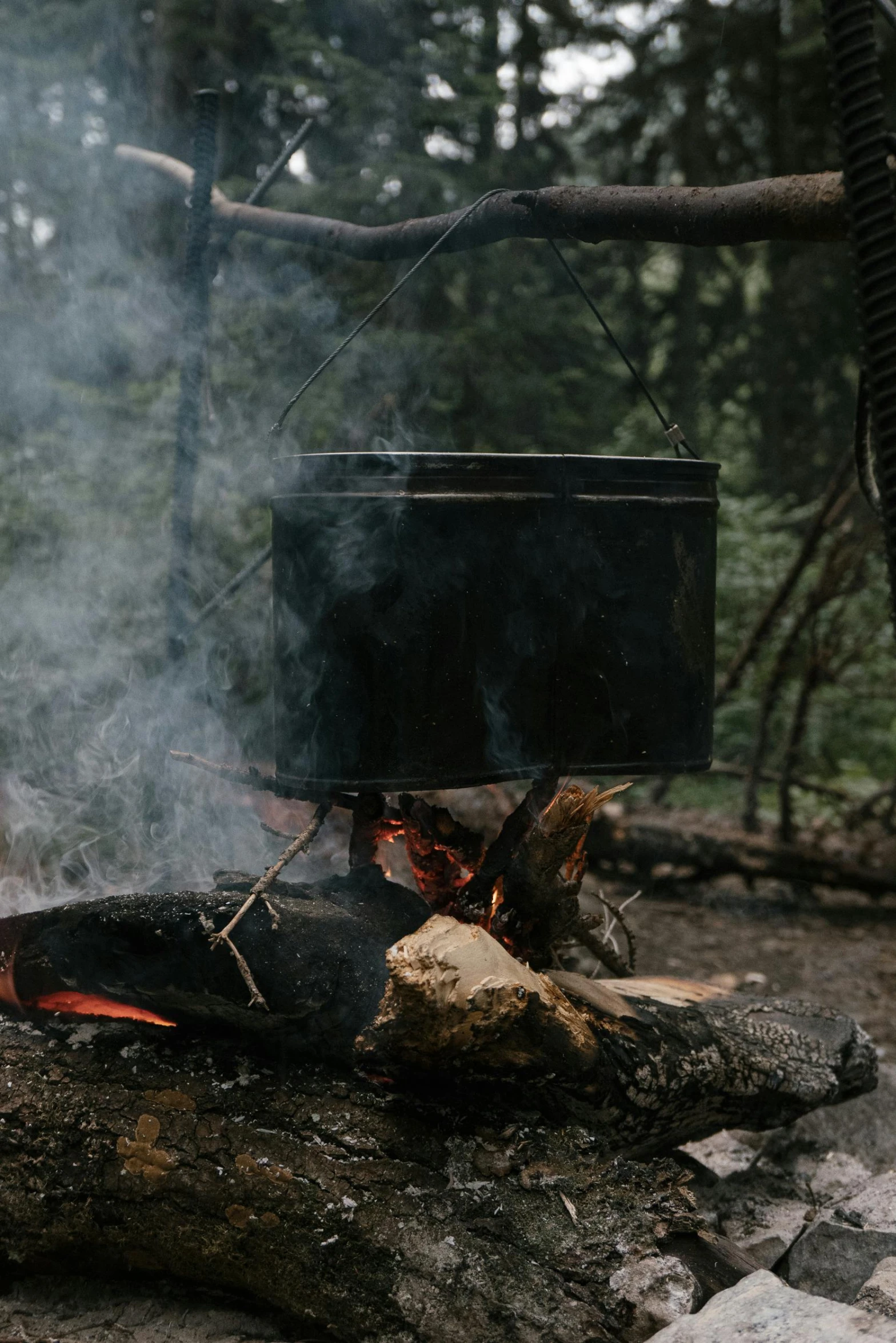 a pot sitting on top of a fire in the woods