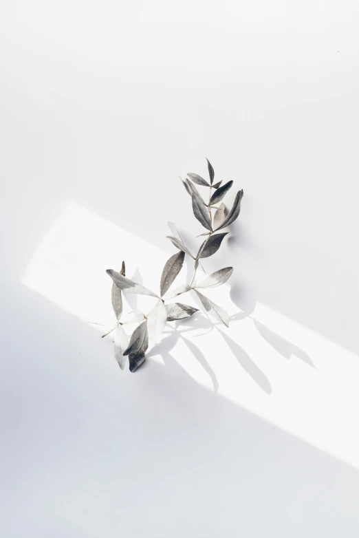 a pair of earrings sitting on top of a white surface, inspired by jeonseok lee, trending on unsplash, new sculpture, olive trees, backlight leaves, stainless steel, wall