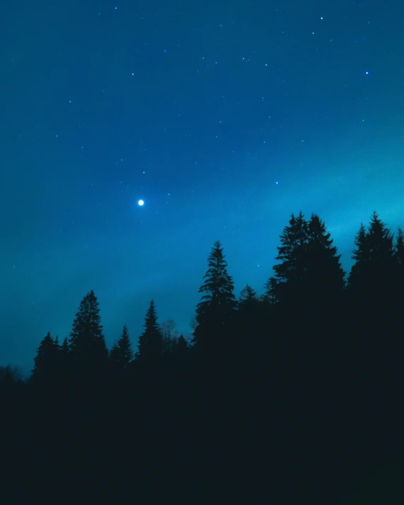 a forest filled with lots of trees under a blue sky, an album cover, inspired by Elsa Bleda, unsplash contest winner, magical realism, evening starlight, 🌲🌌, midnight blue, planets in the skies