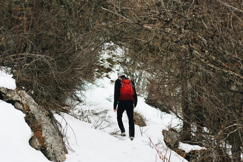 a man riding skis down a snow covered slope, by Emma Andijewska, pexels contest winner, wearing strawberry backpack, on forest jungle path, sneaker photo, thumbnail