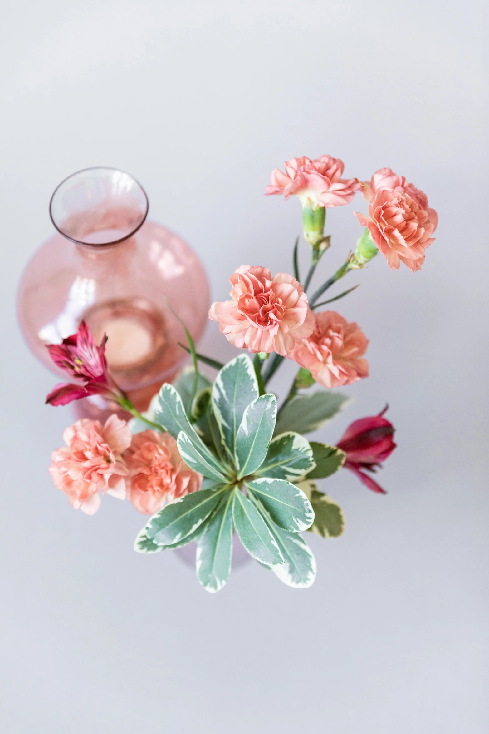 a close up of a vase with flowers in it, blushing, carnation, muted complementary colors, full product shot