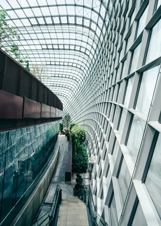 the inside of a building with a glass roof, an album cover, inspired by Cheng Jiasui, unsplash contest winner, archways made of lush greenery, singapore ( 2 0 1 8 ), elegant walkways between towers, martian architecture