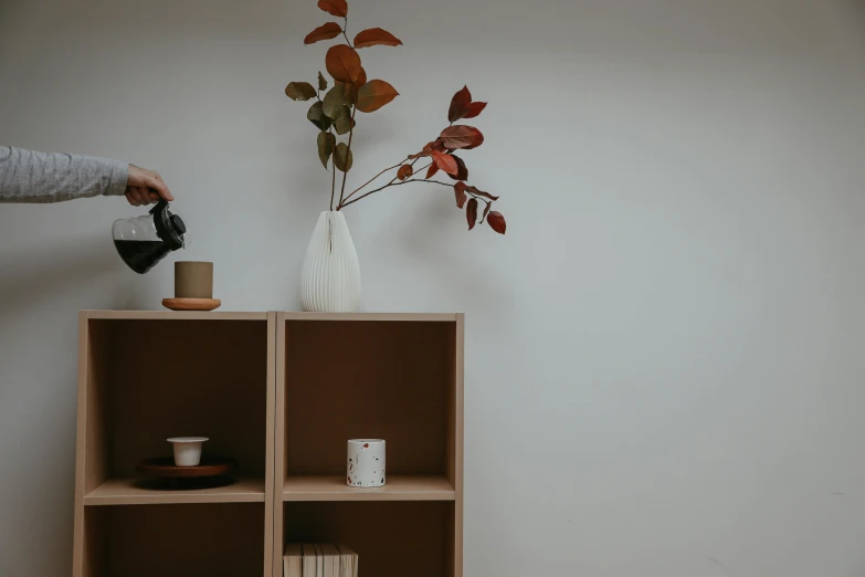 a person pouring water into a vase on a shelf, pexels contest winner, minimalism, brown colours, background image, standing in corner of room, short bookshelf