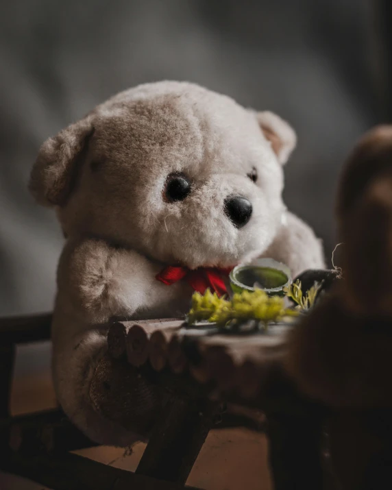 a teddy bear sitting at a table with a plate of food, pexels contest winner, bashful expression, tea, avatar image, moody hazy lighting