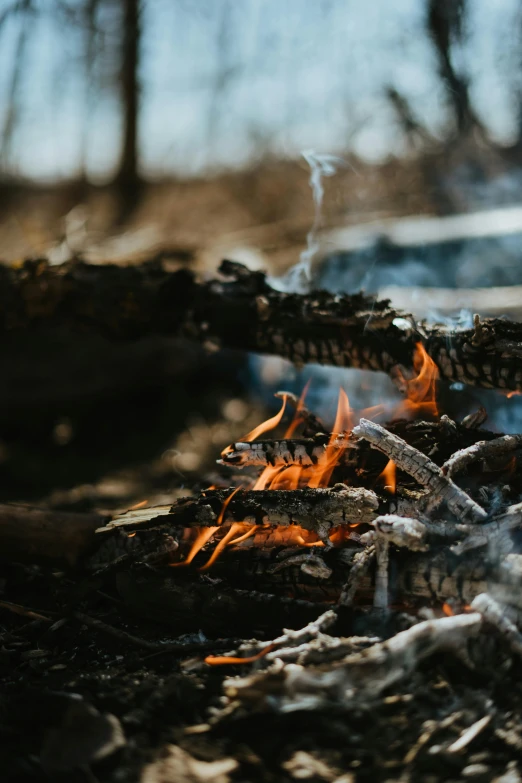 a close up of a fire with a car in the background, pexels contest winner, land art, forest picnic, melting, warm light, long