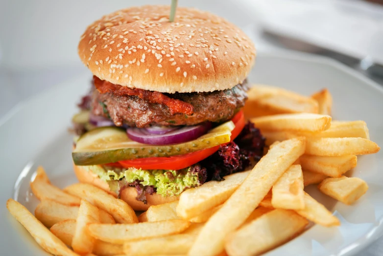 a hamburger and french fries on a plate, by Joe Bowler, pexels, 🦩🪐🐞👩🏻🦳, restaurant menu photo, stacked image, australian