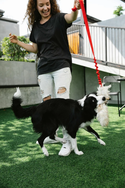 a woman walking a black and white dog on a leash, playing, hypebeast, fully posable, at home