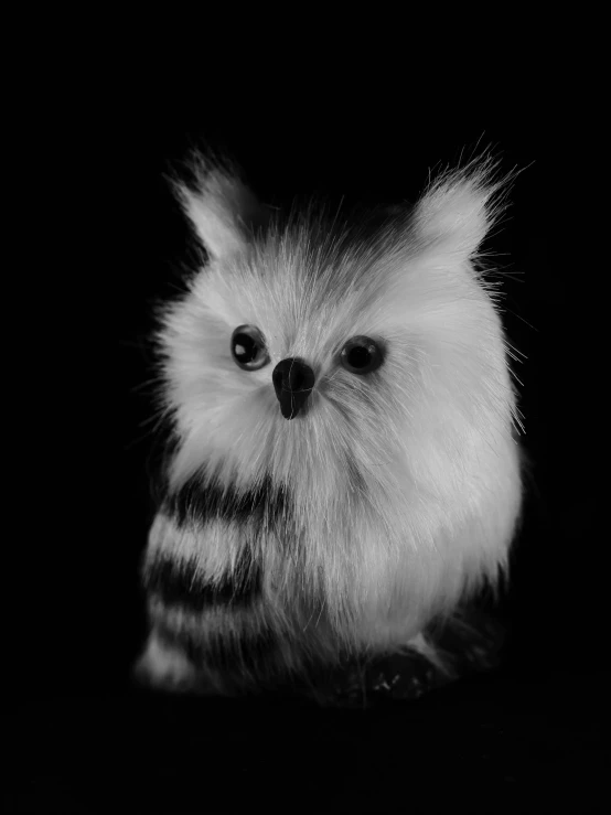 a black and white photo of an owl, by Zofia Stryjenska, fine art, stuffed animal, fluffy''