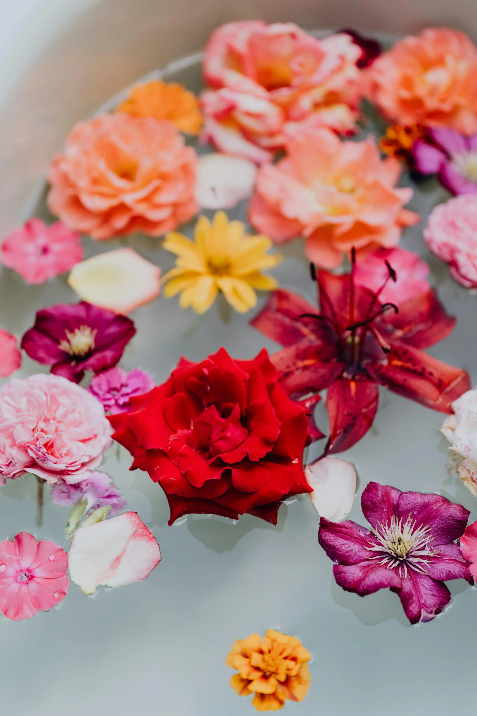 colorful flowers floating in a bowl of water, trending on unsplash, red flowers of different types, pinks, soft and intricate, flirty