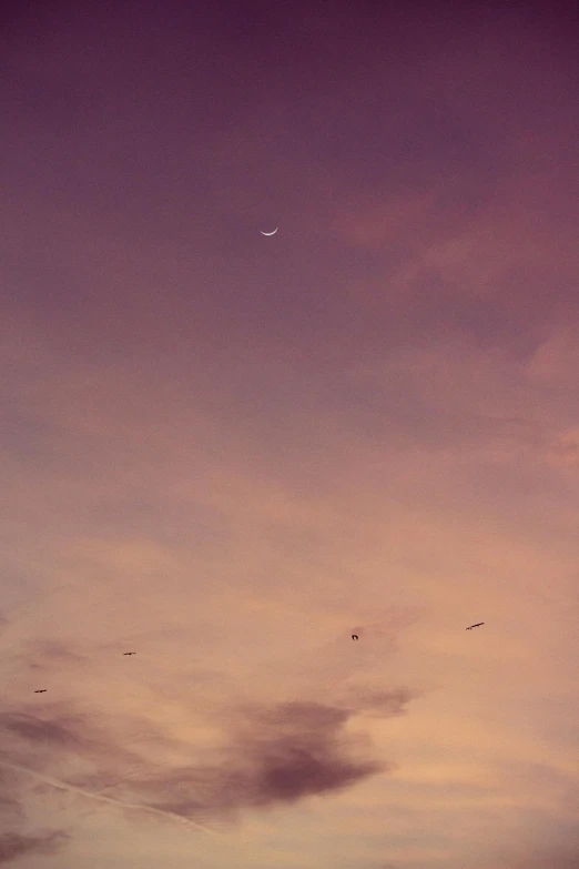 a couple of birds that are flying in the sky, by Ian Fairweather, postminimalism, crescent moon, soft colors, purple, dream