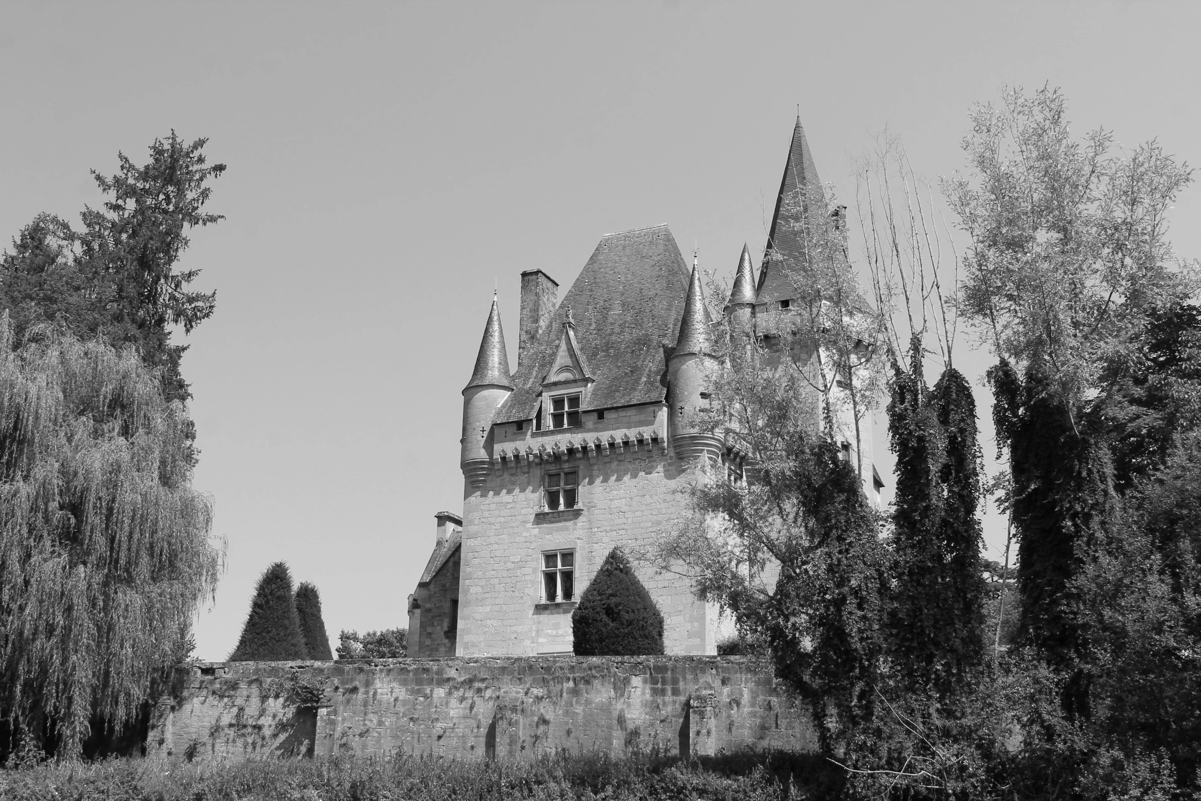 a black and white photo of a castle, a black and white photo, inspired by Pierre Toutain-Dorbec, pixabay contest winner, romanesque, bocage, delightful surroundings, gothic mansion, album