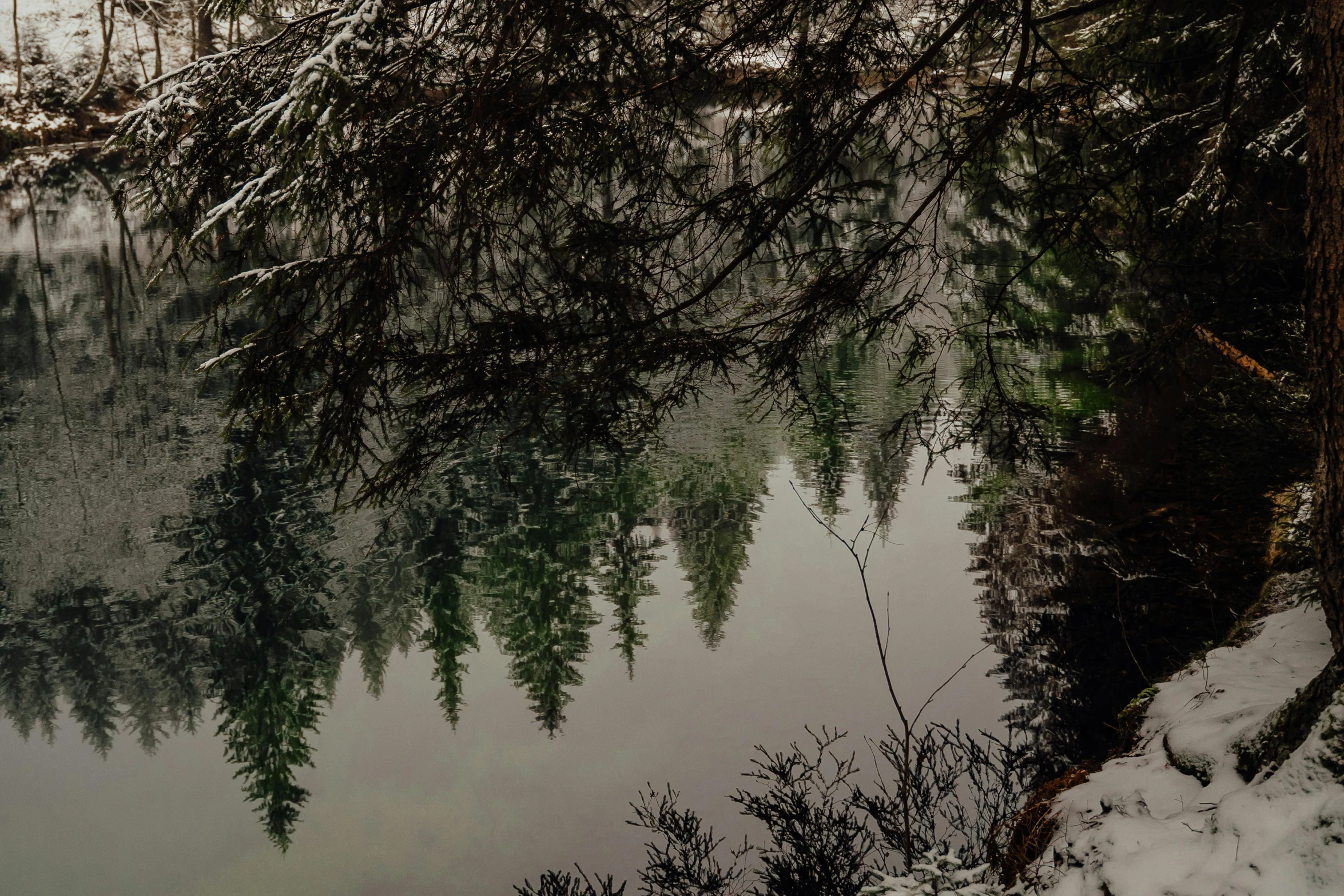 a body of water surrounded by trees covered in snow, a picture, inspired by Elsa Bleda, unsplash contest winner, tonalism, black fir, water mirrored water, today\'s featured photograph 4k, 🌲🌌