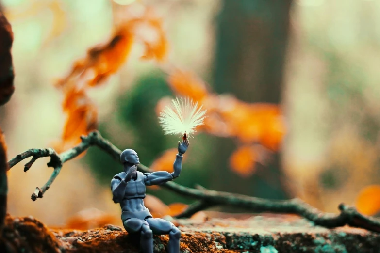 a toy soldier sitting on top of a tree branch, unsplash contest winner, art photography, tiny firespitter, autum, humanoid flora, hd wallpaper