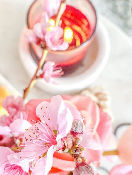 a vase filled with pink flowers next to a candle, cherry blossom, background image, zoomed in, light red and orange mood