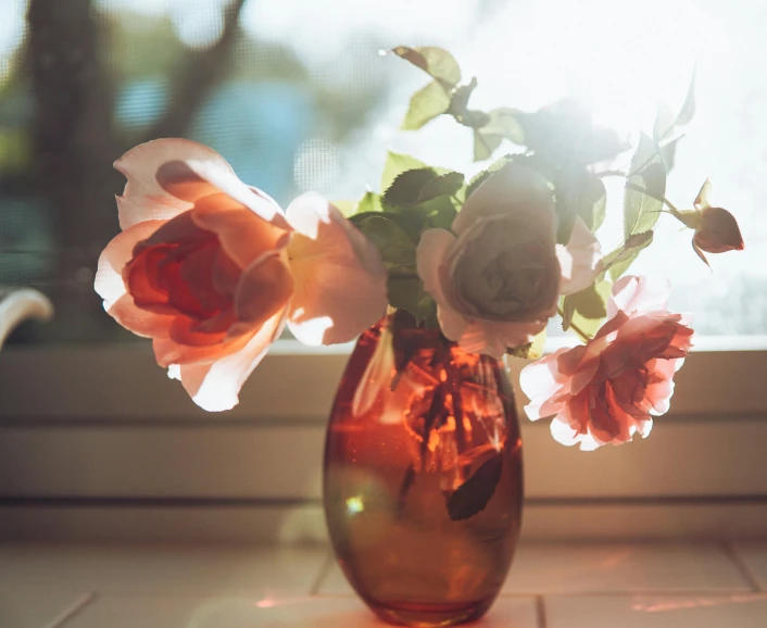 a vase that has some flowers in it, pexels contest winner, romanticism, sun flares, rose tones, instagram post, natural window lighting