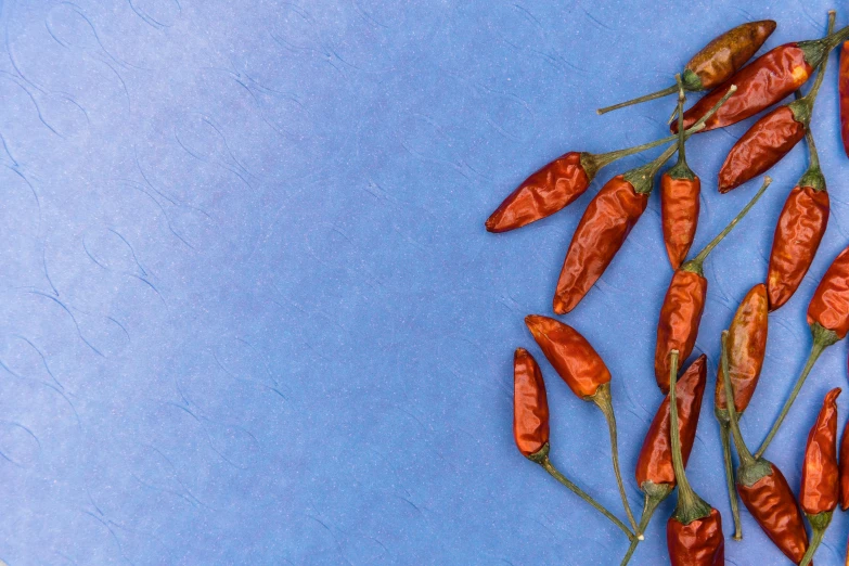 a bunch of red peppers sitting on top of a blue surface, by Carey Morris, pexels contest winner, dried flower, background image, wrapped thermal background, sienna