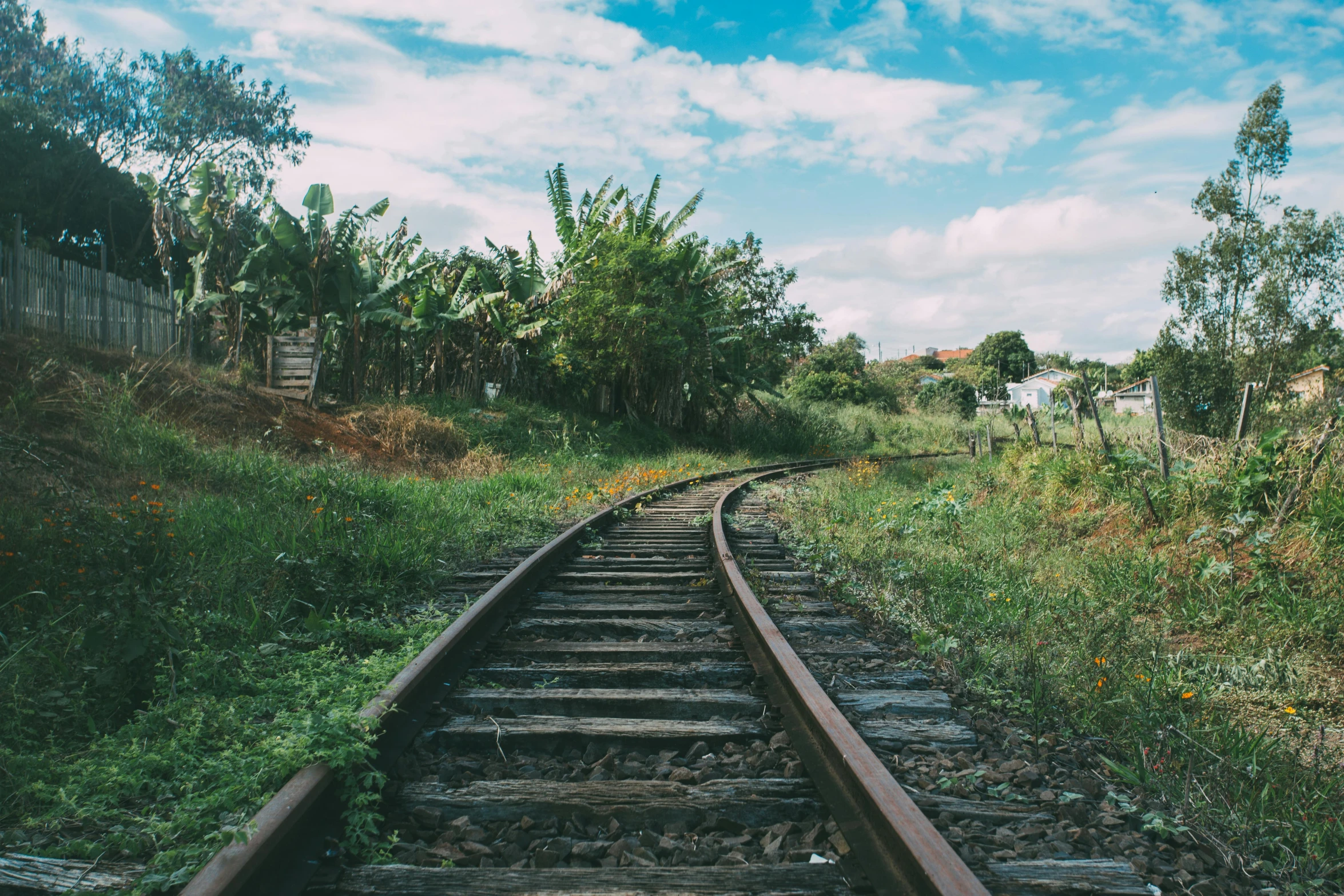 a train track running through a lush green field, an album cover, unsplash, jungle grunge, wooden platforms, 90's photo, an abandoned old