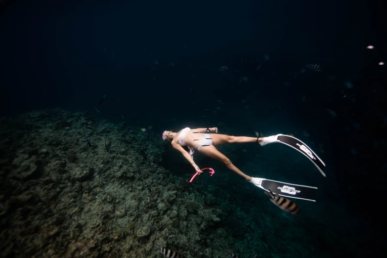 a woman in a bikini snorgles in the water, by Jessie Algie, pexels contest winner, mantis and swordfishes, descend into the deep, avatar image, flying shot