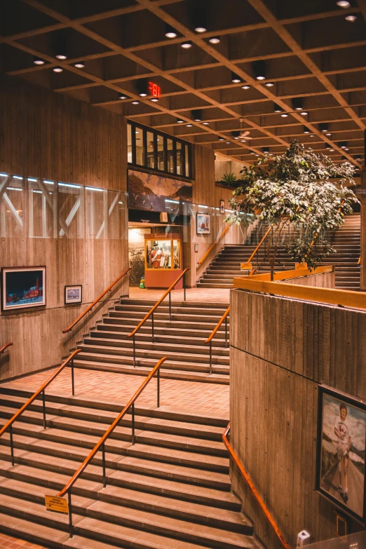 a bunch of stairs that are in a building, poster art, by Johan Edvard Mandelberg, unsplash, modernism, wooden walls with framed art, footage of a theater stage, flowers around, evening lighting