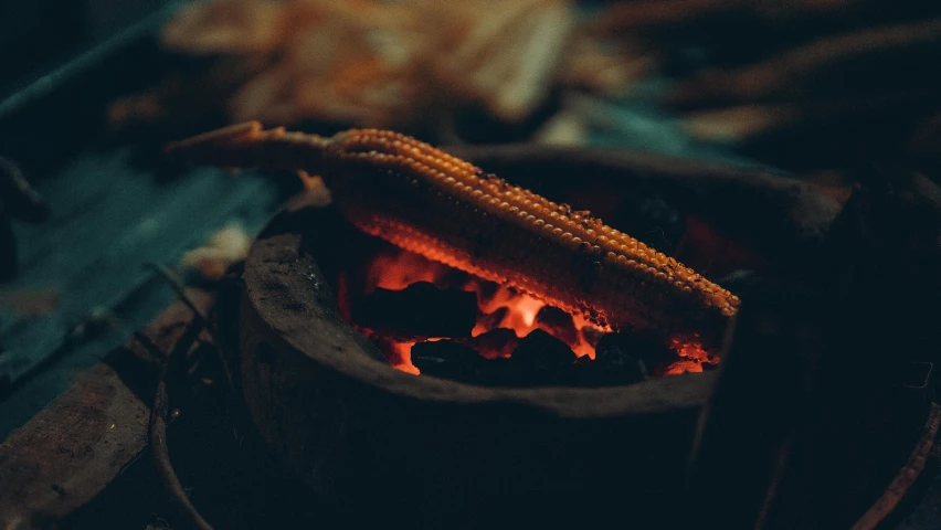 a corn on the cob is cooking over an open fire, a picture, by Carey Morris, pexels contest winner, warm coloured, 🦩🪐🐞👩🏻🦳, moody details, a wooden