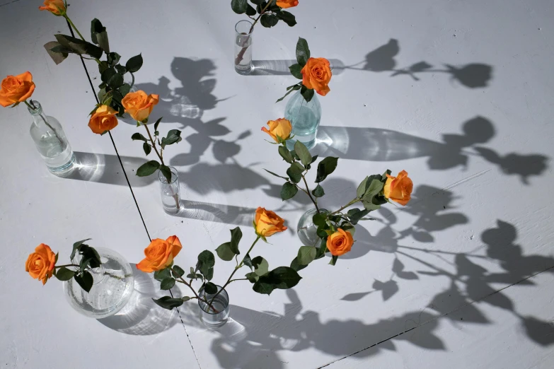 a number of vases with flowers in them on a table, inspired by Elsa Bleda, unsplash, photorealism, crown of mechanical peach roses, long cast shadows, view from below, oranges floating in the water