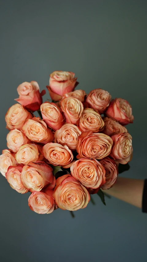 a close up of a person holding a bunch of flowers, in shades of peach, decorative roses, very award - winning, various sizes
