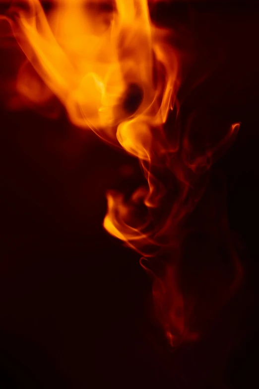 a close up of a fire on a black background, pexels, with red haze, new mexico, avatar image, digital photograph