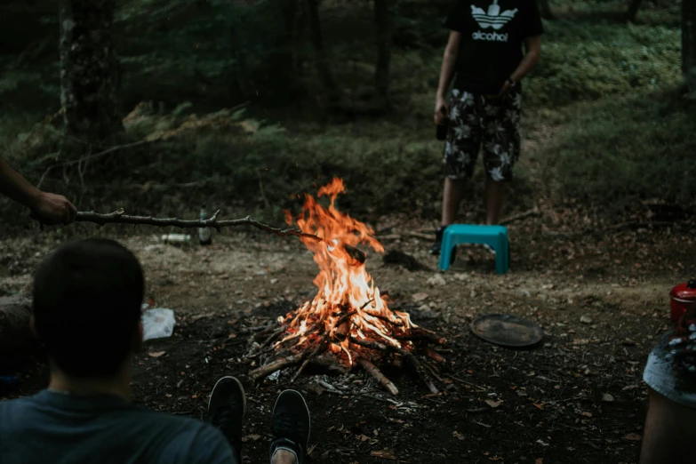 a group of people sitting around a campfire, by Emma Andijewska, pexels contest winner, land art, detailed surroundings, te pae, forest picnic, bedroom full of fire