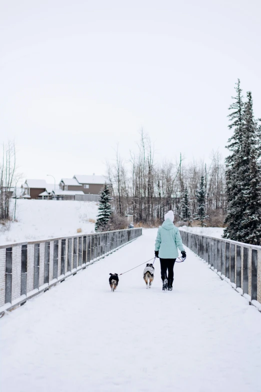 a woman walking two dogs across a snow covered bridge, by Julia Pishtar, pexels contest winner, yeg, walking through a suburb, slightly minimal, kai'sa