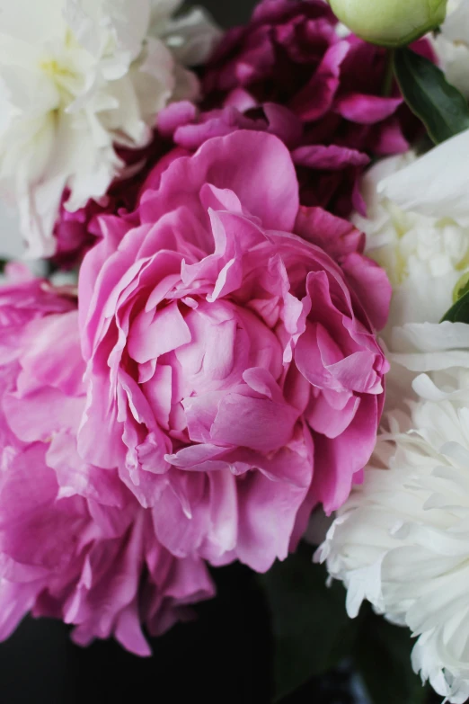 a bunch of white and pink flowers in a vase, up-close, peony, award-winning crisp details”, zoomed in