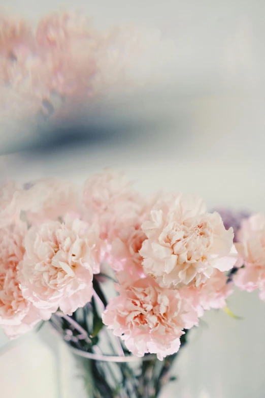 a vase filled with pink carnations sitting on a table, a digital rendering, unsplash, romanticism, soft mist, loosely cropped, corners, zoomed in