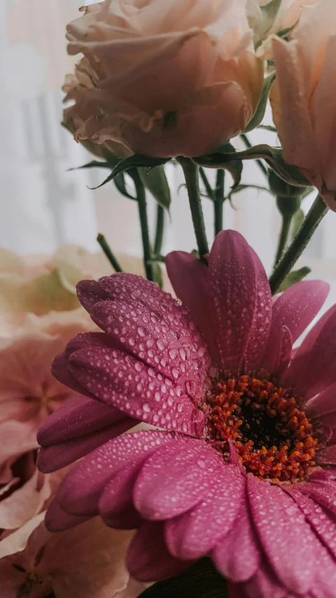 a vase filled with pink and white flowers, pexels contest winner, dewy skin, today\'s featured photograph 4k, multi - coloured, detail shot