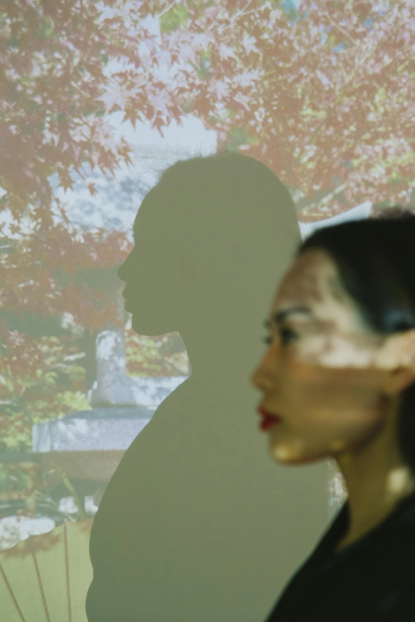 a woman standing in front of a projection screen, inspired by Li Di, video art, shadows. asian landscape, both faces visible, autumn, couple